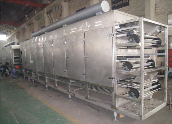 DWG Series Multilayer Hot Air Conveyor Belt Oven For Onion / Ginger