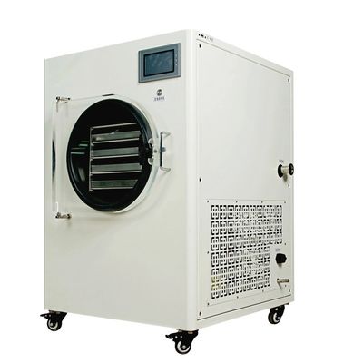 Vacuum Freeze Dryer Machine  Electric Heating Sublimation Dryer for Vegetable