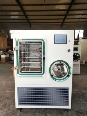 Lyophilization And Freeze Drying Equipment , 5000kg/batch Vacuum Freeze Dry Fruit Machine